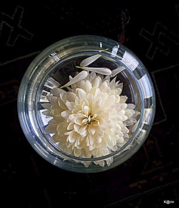 Liebevolle Dekoration PALOMA Perissia