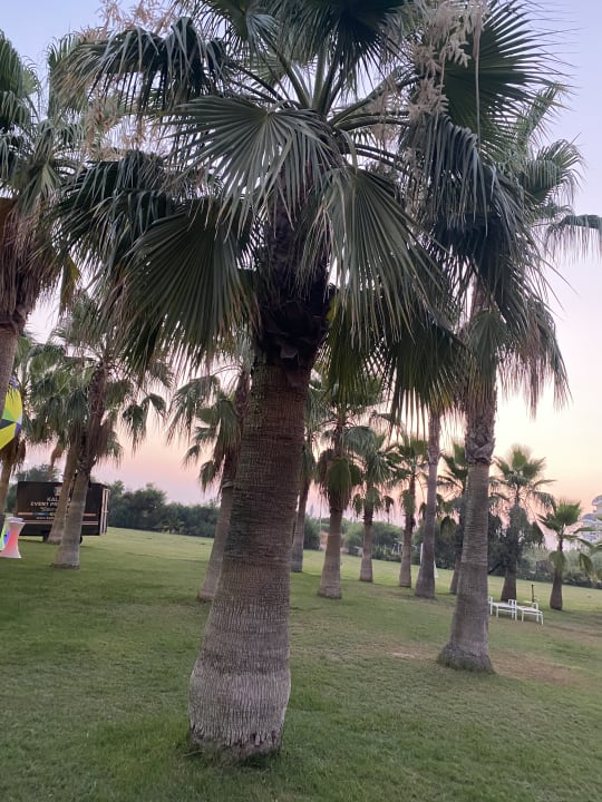 Gartenanlage Seaden Sea World Resort & Spa