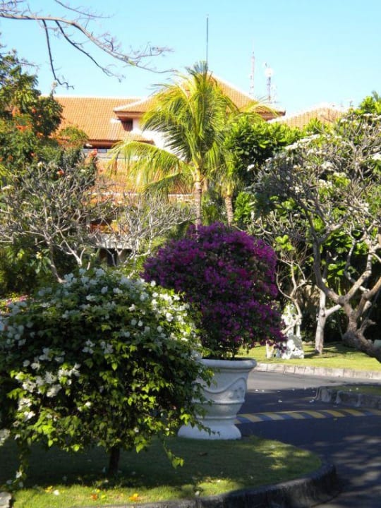 Blumen an der Einfahrt The Westin Resort Nusa Dua, Bali