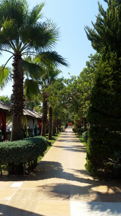 Gartenanlage Latanya Park Resort