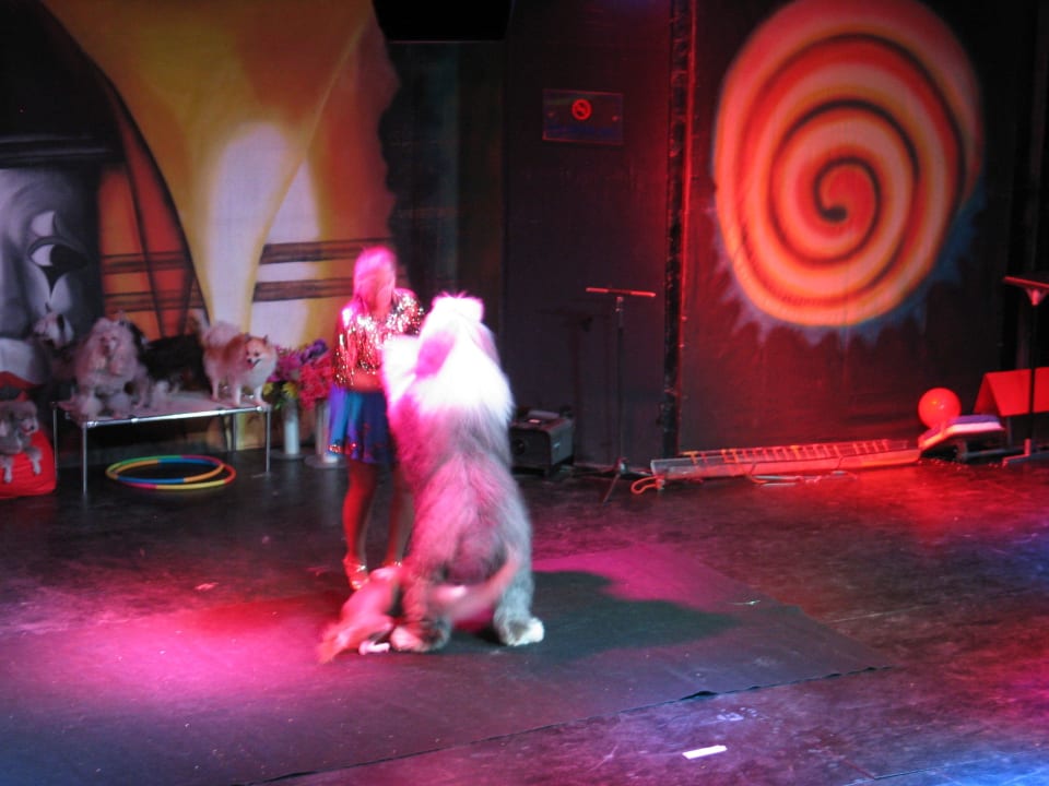 Zirkus Show Sunis Elita Beach Resort & Spa