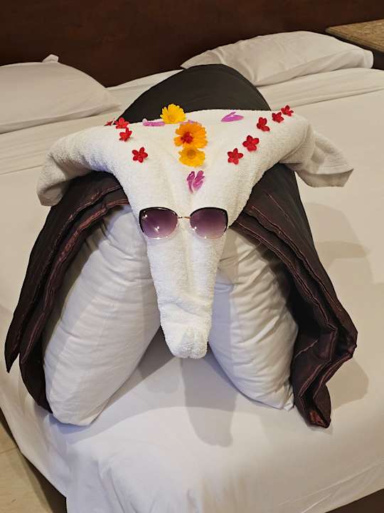 Zimmer Shams Prestige Abu Soma-Adults Only