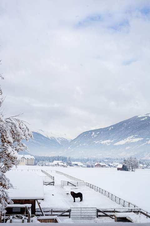 Ausblick Landhaus Holzer / Apartments