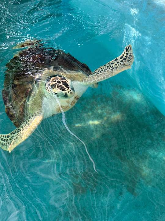 Sonstiges Kuredu Island Resort & Spa