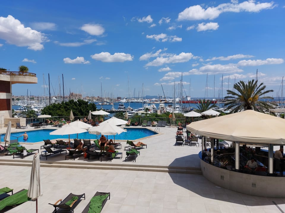 Pool Melia Palma Marina