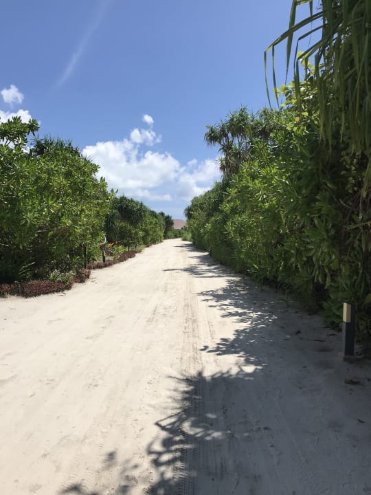 Garten Hondaafushi Island Resort