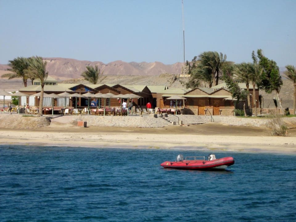 Wadi Gimal Diving Center Shams Alam Beach Resort