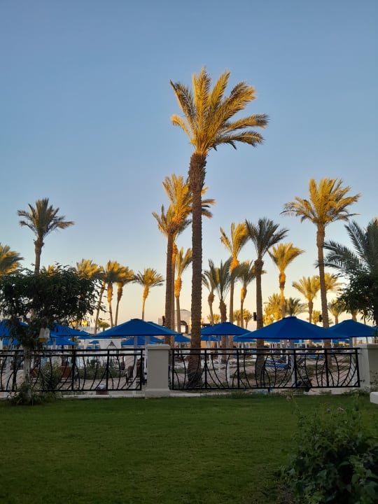 Pool Pickalbatros Palace Hotel-Port Ghalib