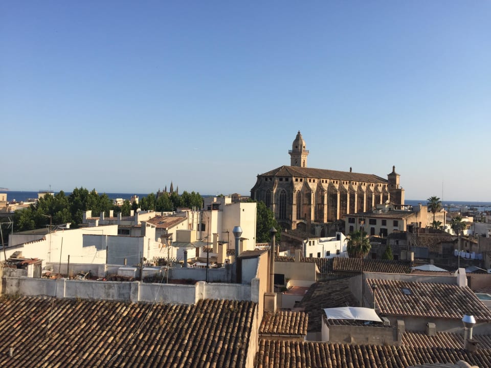 Dachterrasse Hotel Palma Suites