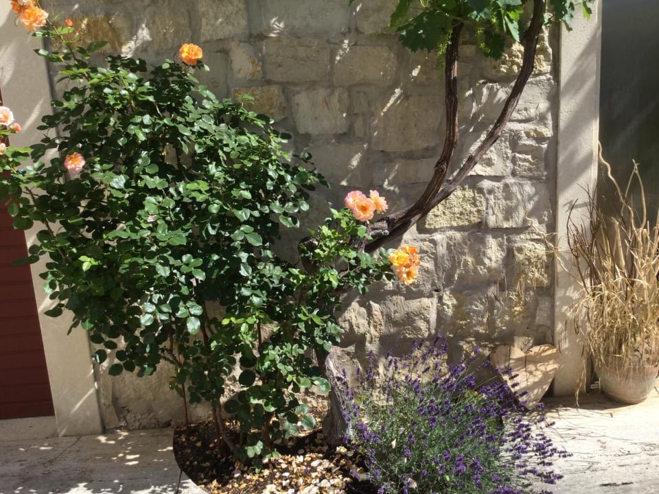 Gartenanlage Landgasthof am Königsweg