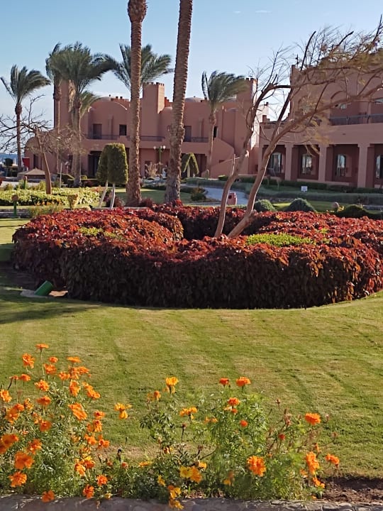 Gartenanlage Sentido Akassia Beach