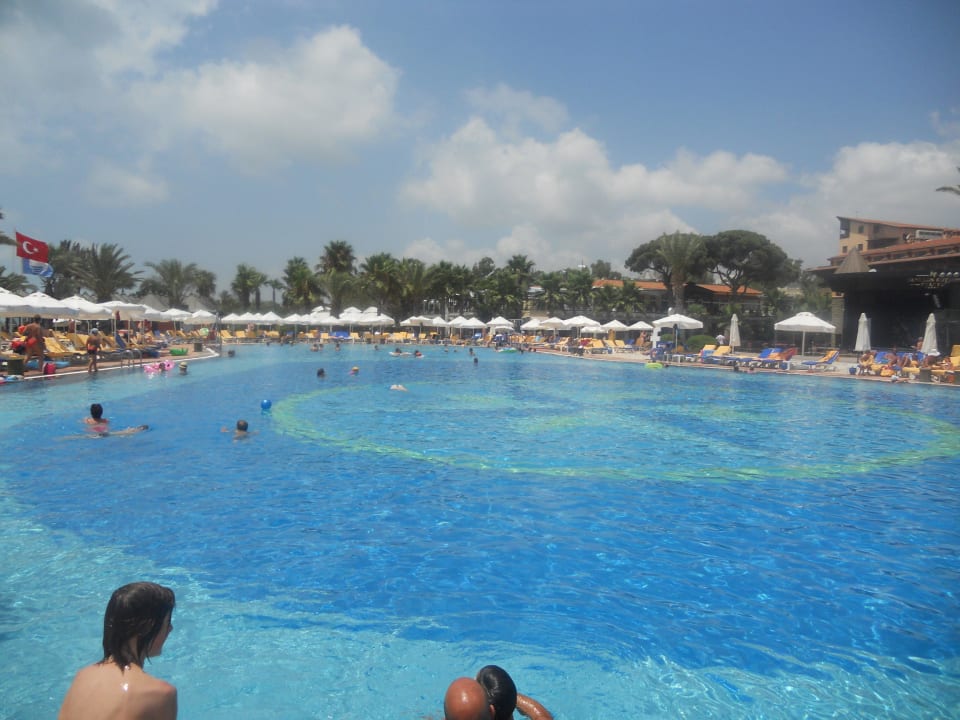 Großer Pool Papillon Belvil