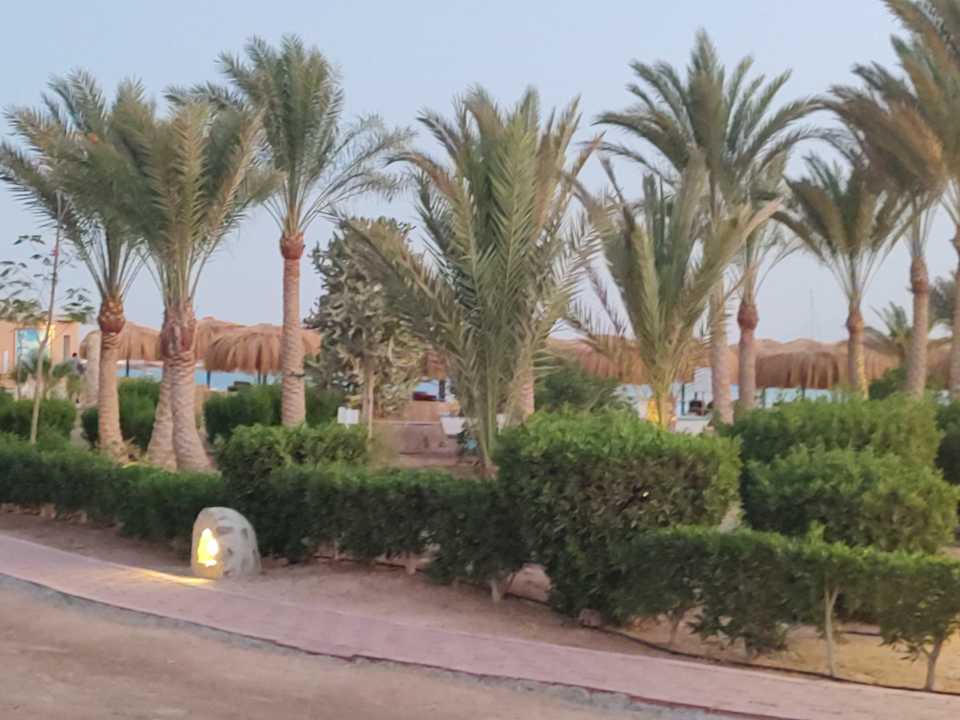 Gartenanlage Club Paradisio El Gouna, Red Sea