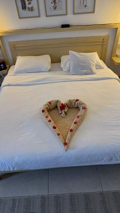 Zimmer Iberotel Casa Del Mar Resort