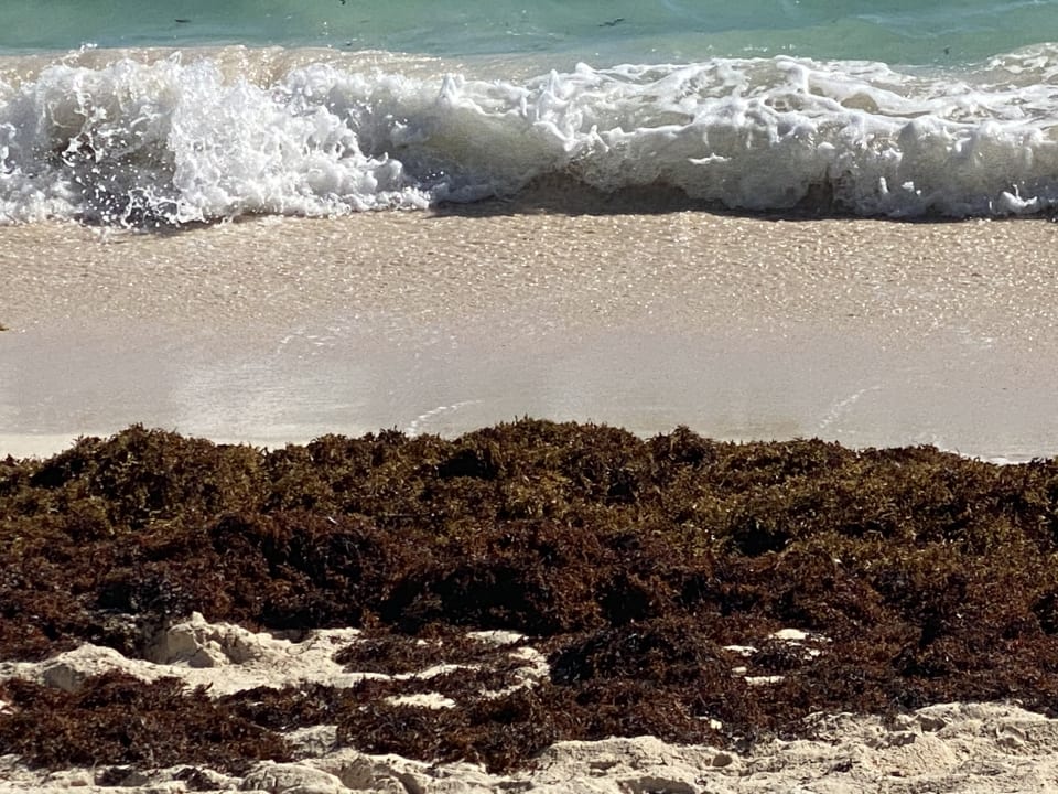 Strand TRS Turquesa Hotel - Adults only