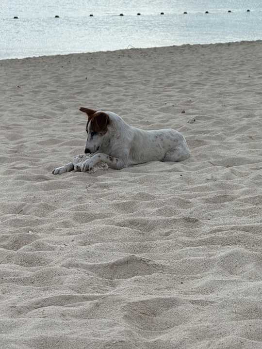 Sonstiges La Pirogue Mauritius