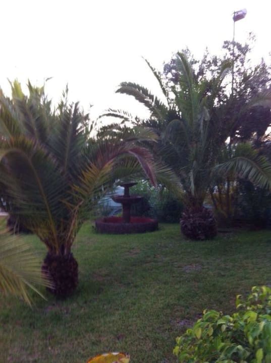 Green San Valentin & Terraflor Park