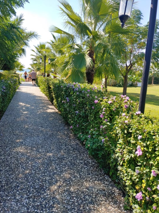 Strand Bella Resort & Spa