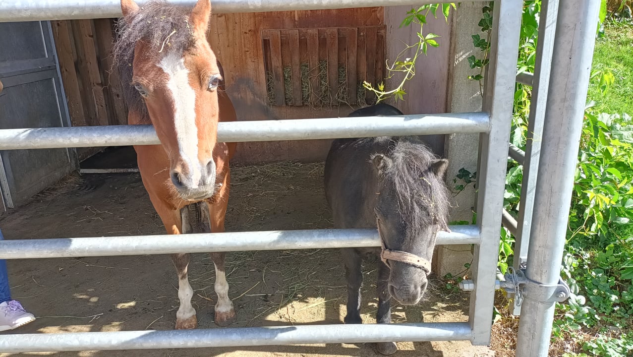 Sport & Freizeit Hotel Panoramahof Eggele