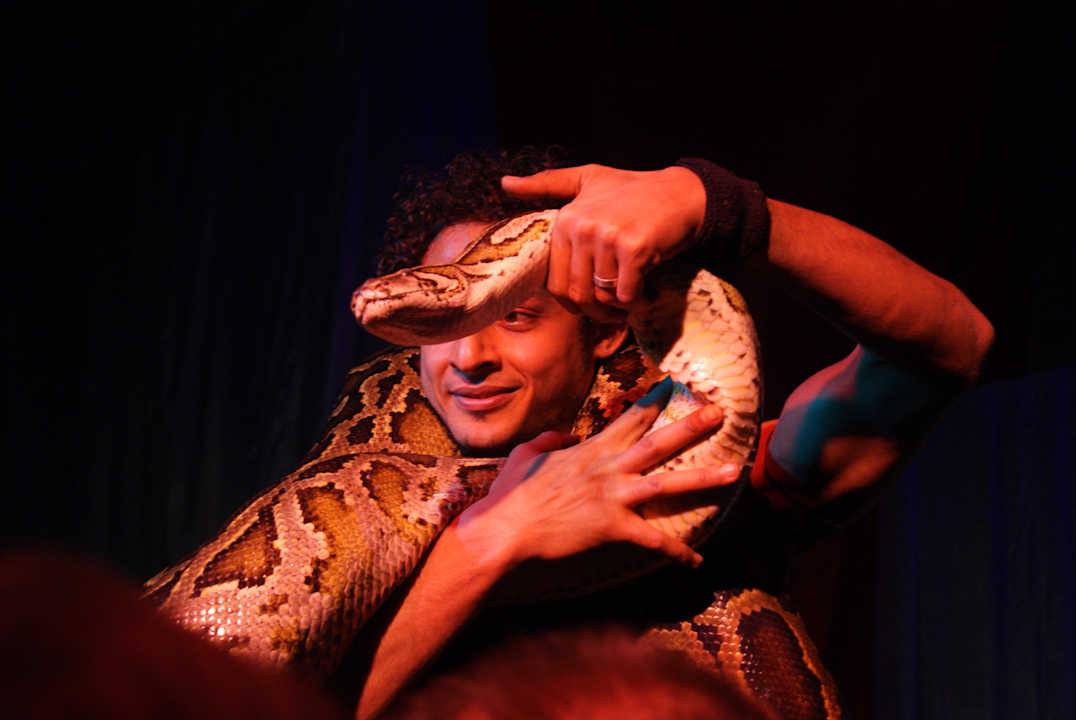 Кобра шоу Pickalbatros Alf Leila Wa Leila Resort - Neverland Hurghada