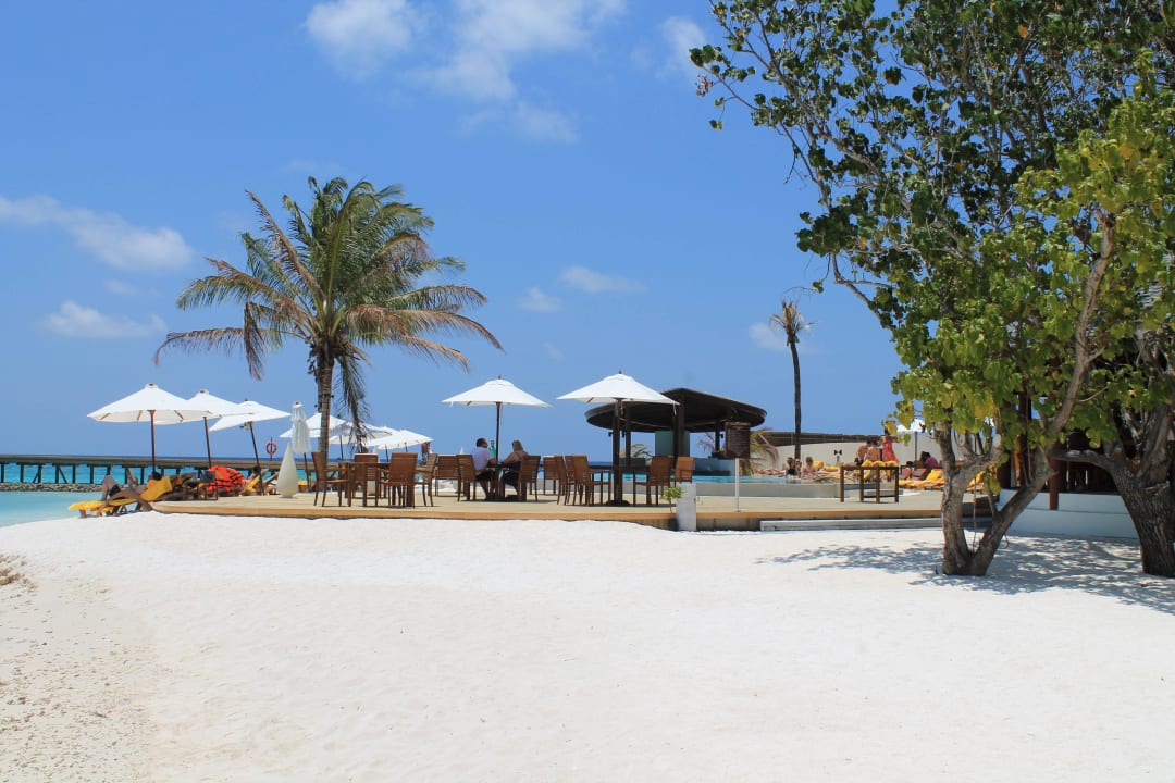 Pool und Poolbar Centara Ras Fushi Resort & Spa Maldives