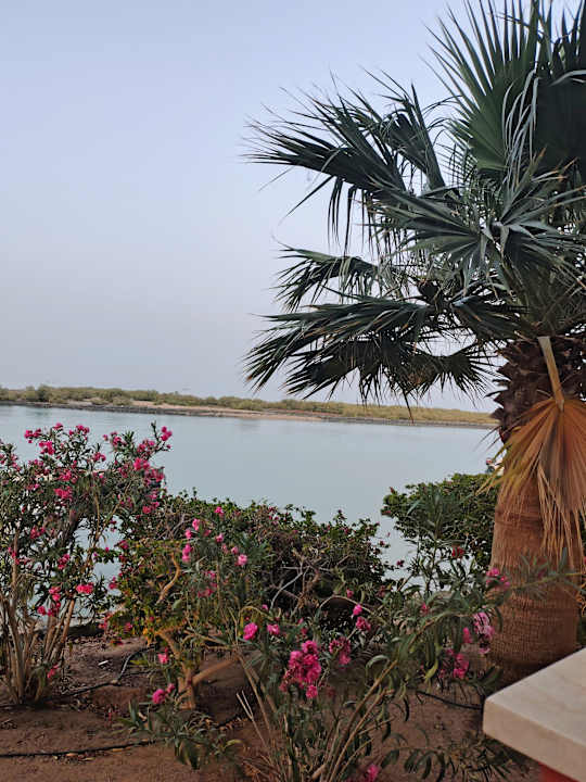 Gartenanlage Sheraton Miramar Resort El Gouna