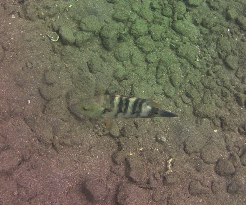 Sport & Freizeit Happy Life Village