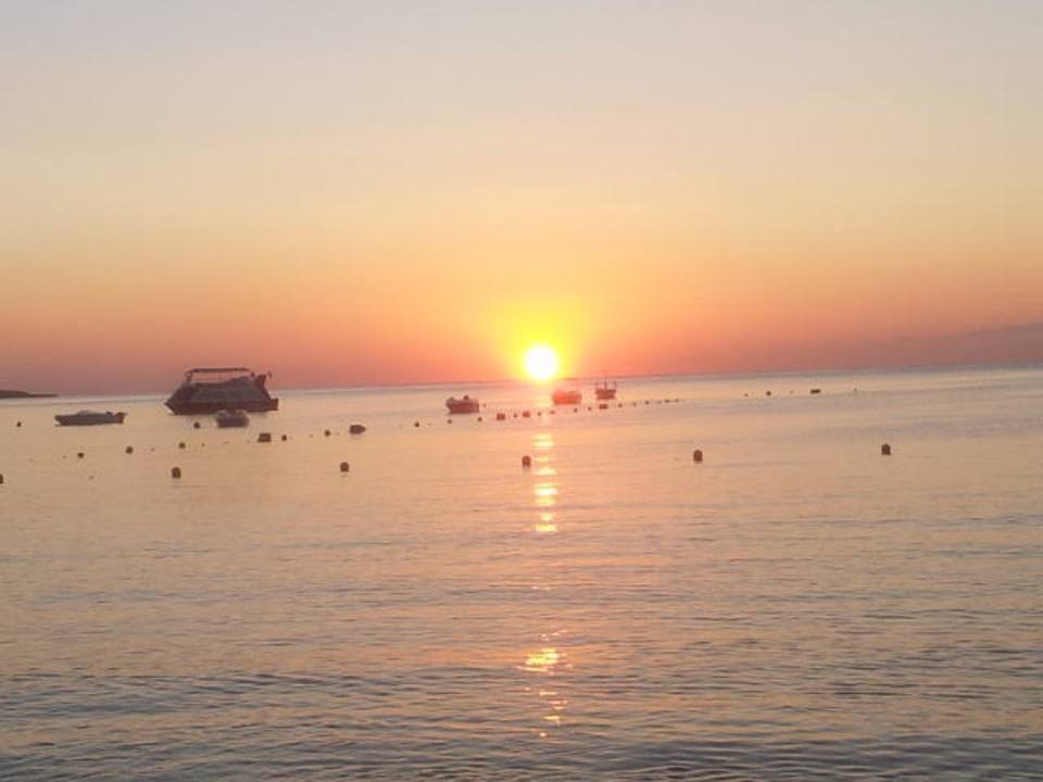 Sonnenaufgang  Ghazala Gardens