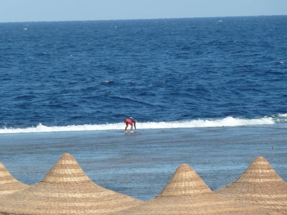 Hausriff bei Ebbe Three Corners Happy Life Beach Resort