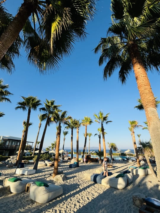 Pool Grecotel LUXME Kos