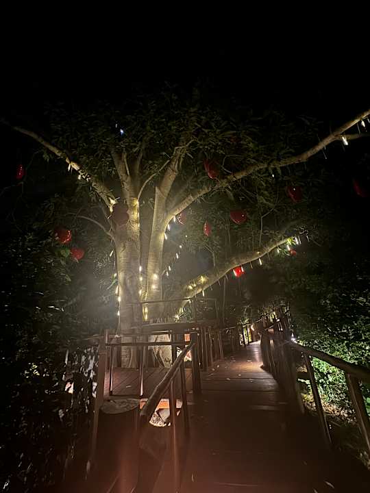 Gartenanlage TRS Yucatan Hotel - Adults only