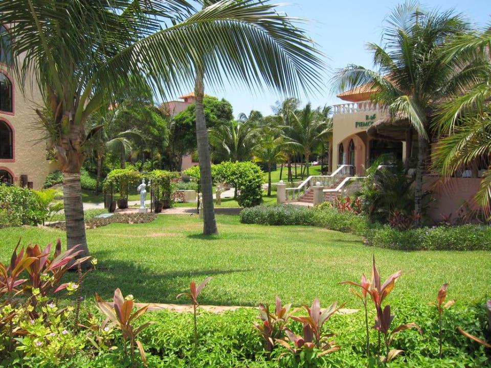 Gartenanlage nahe des Pools Sandos Playacar Select Club Adults only - All Inclusive