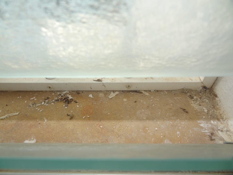 Vogelkot im Badezimmerfenster Hotel Don Felipe