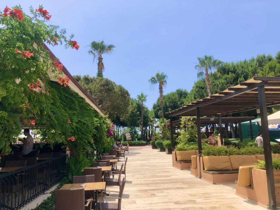 Sonstiges Club Turtas Beach Hotel