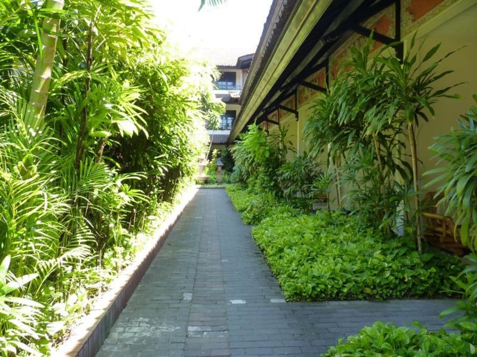 Weg zu den Zimmern Hotel Ari Putri