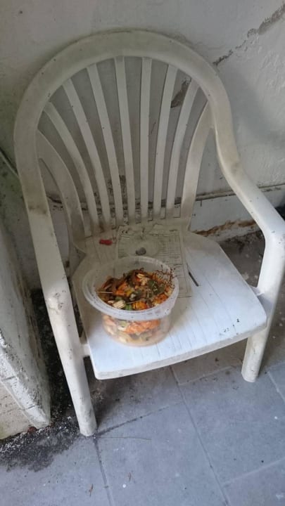 Eimer mit Essensresten und Fliegen STROBLHOF Active Family SPA Resort