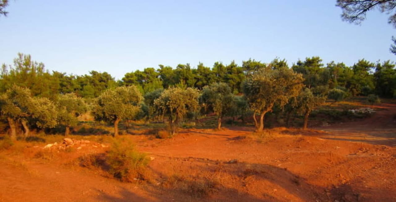 Okolice hotelu Hotel Astris Sun