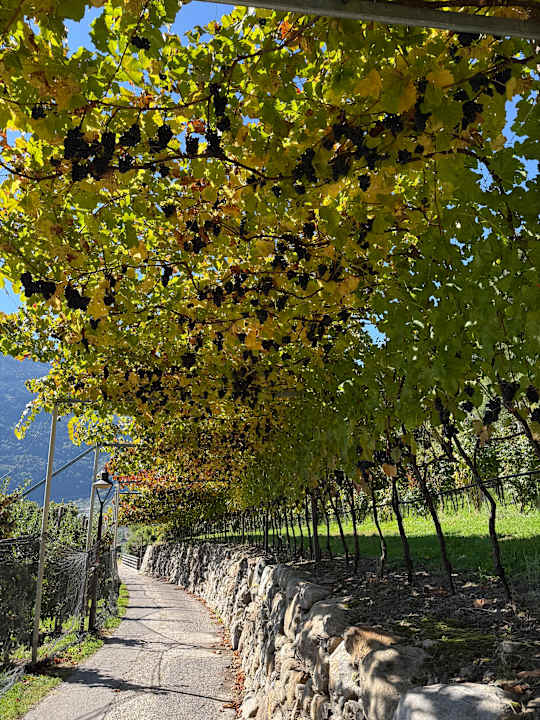 Ausblick Hotel Patrizia