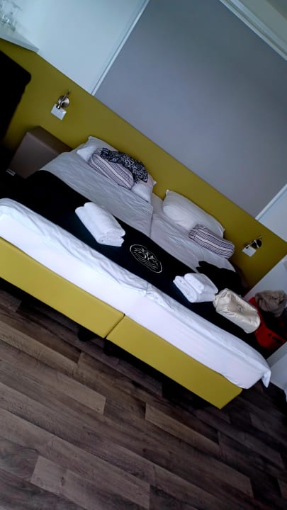 Zimmer Olivia Green Camping