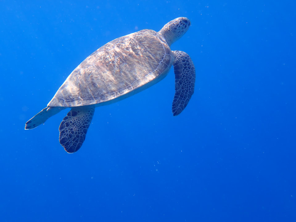 Strand Hilton Marsa Alam Nubian Resort