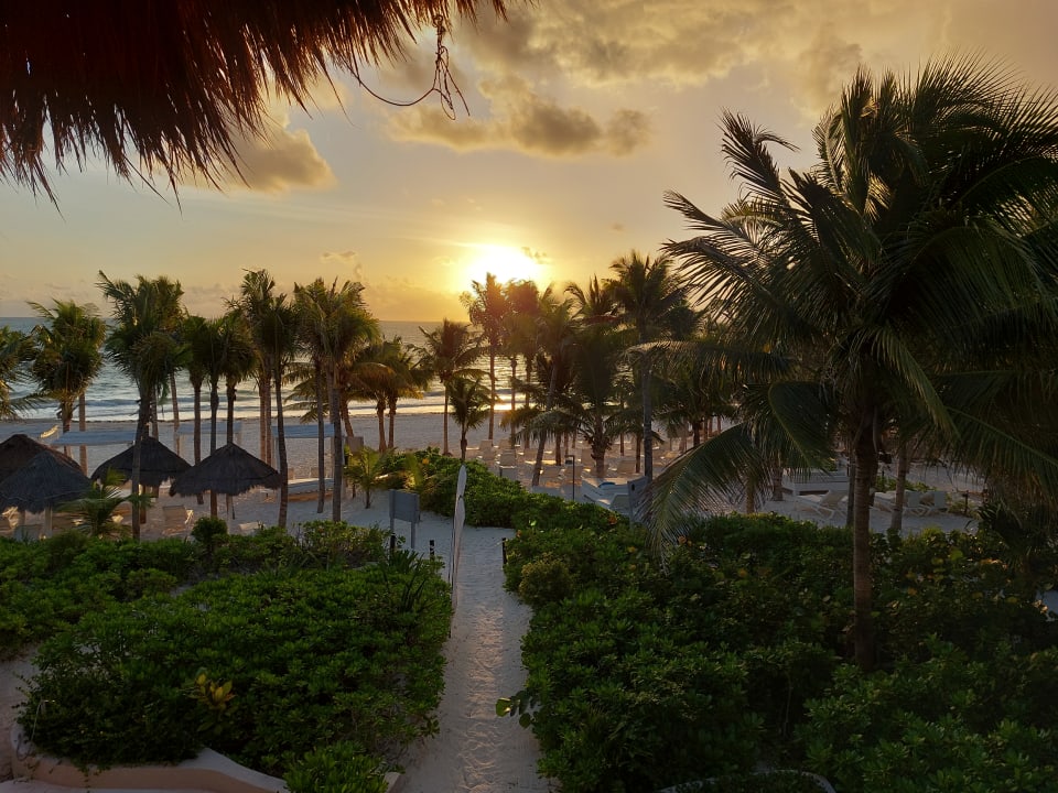 Ausblick Catalonia Playa Maroma