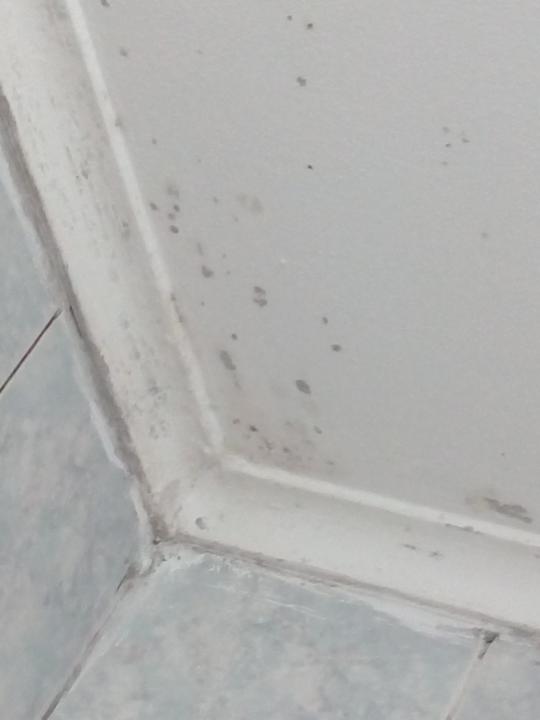 Zimmer Hotel Residencial Joao XXI