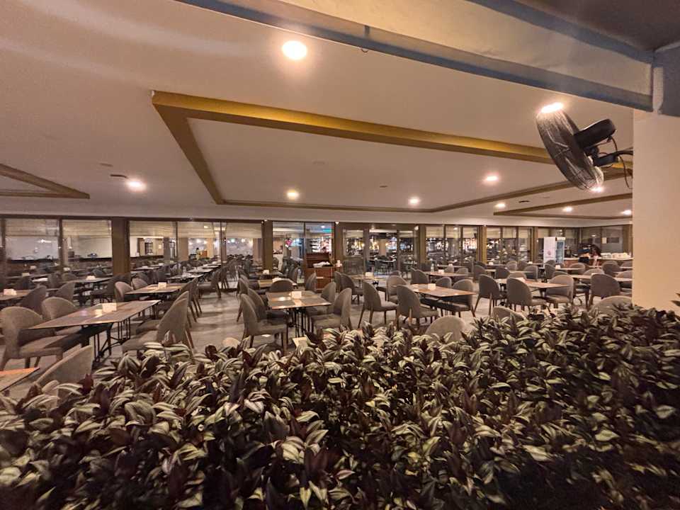 Gastro Asteria Collection Side