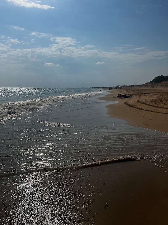 Strand Seashell Vega