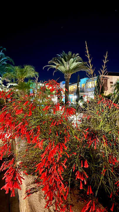 Gartenanlage Lopesan Villa del Conde Resort & Thalasso