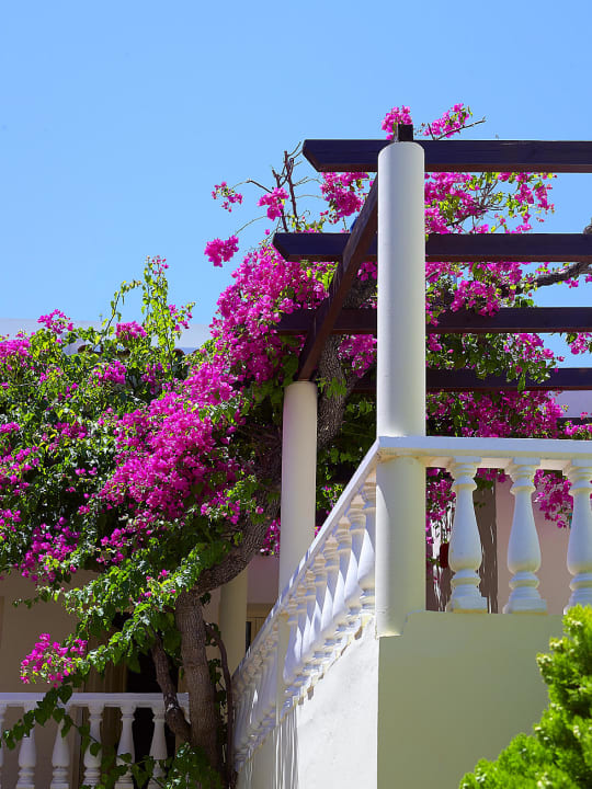 Balcony with plants outside rooms Hotel Elotis Suites