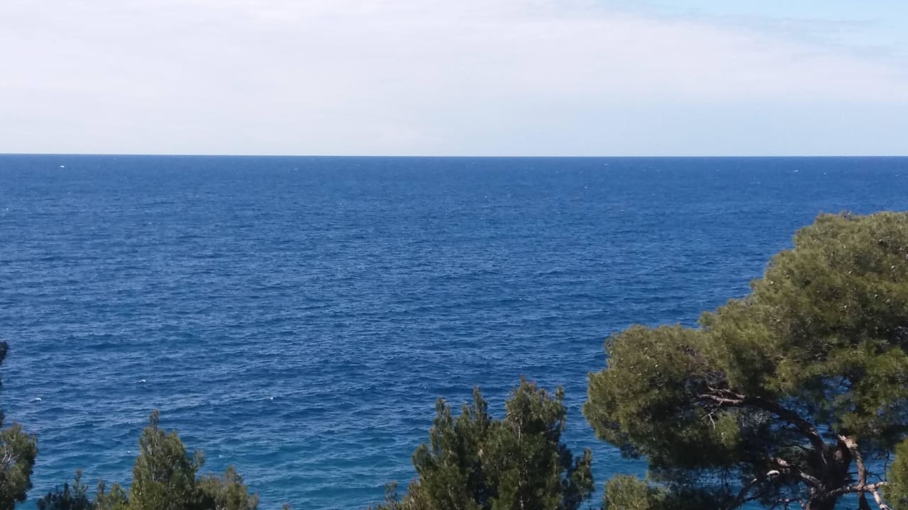 Vom Balkon Hotel Parentium Plava Laguna