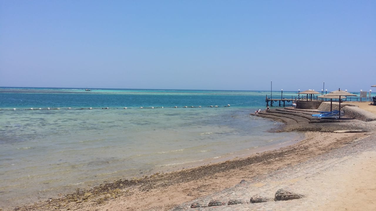 Strand Sea Star Beau Rivage