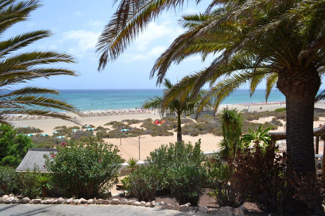 Ausblick von der Außenanlage  SBH Monica Beach Resort