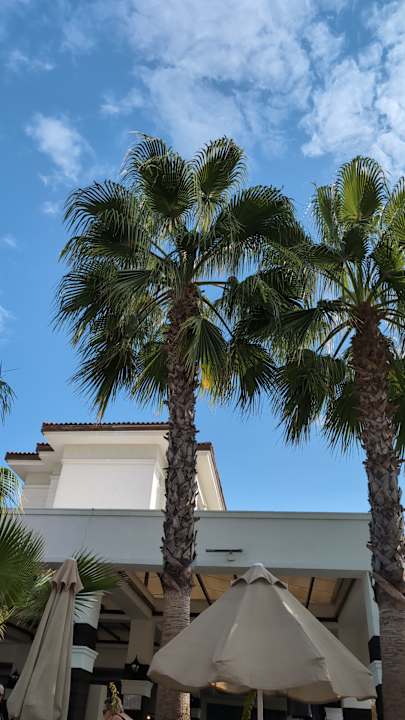 Pool Alba Queen Hotel